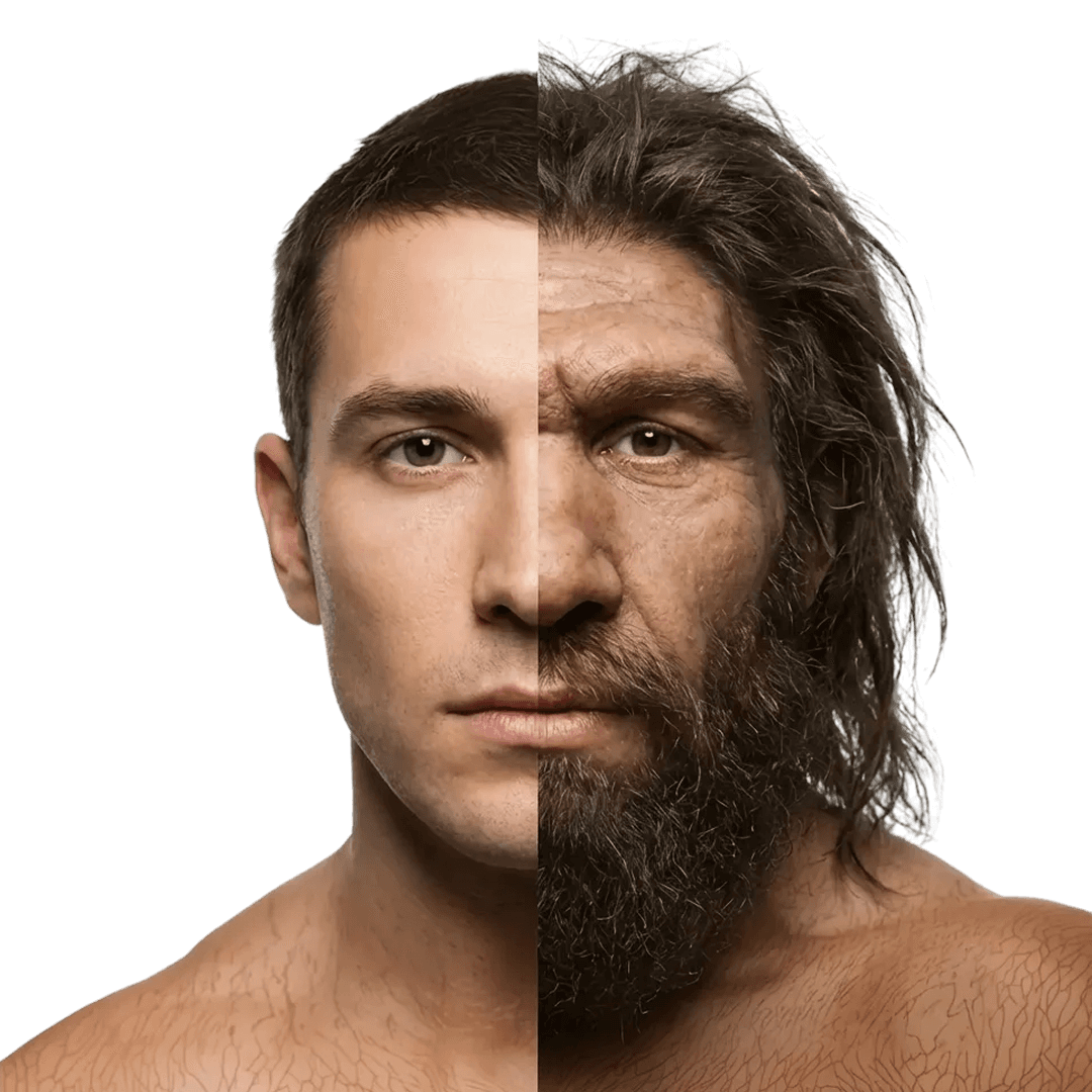 سهم نئاندرتال