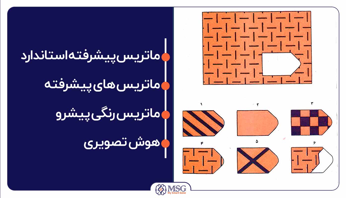 انواع تست هوش ریون