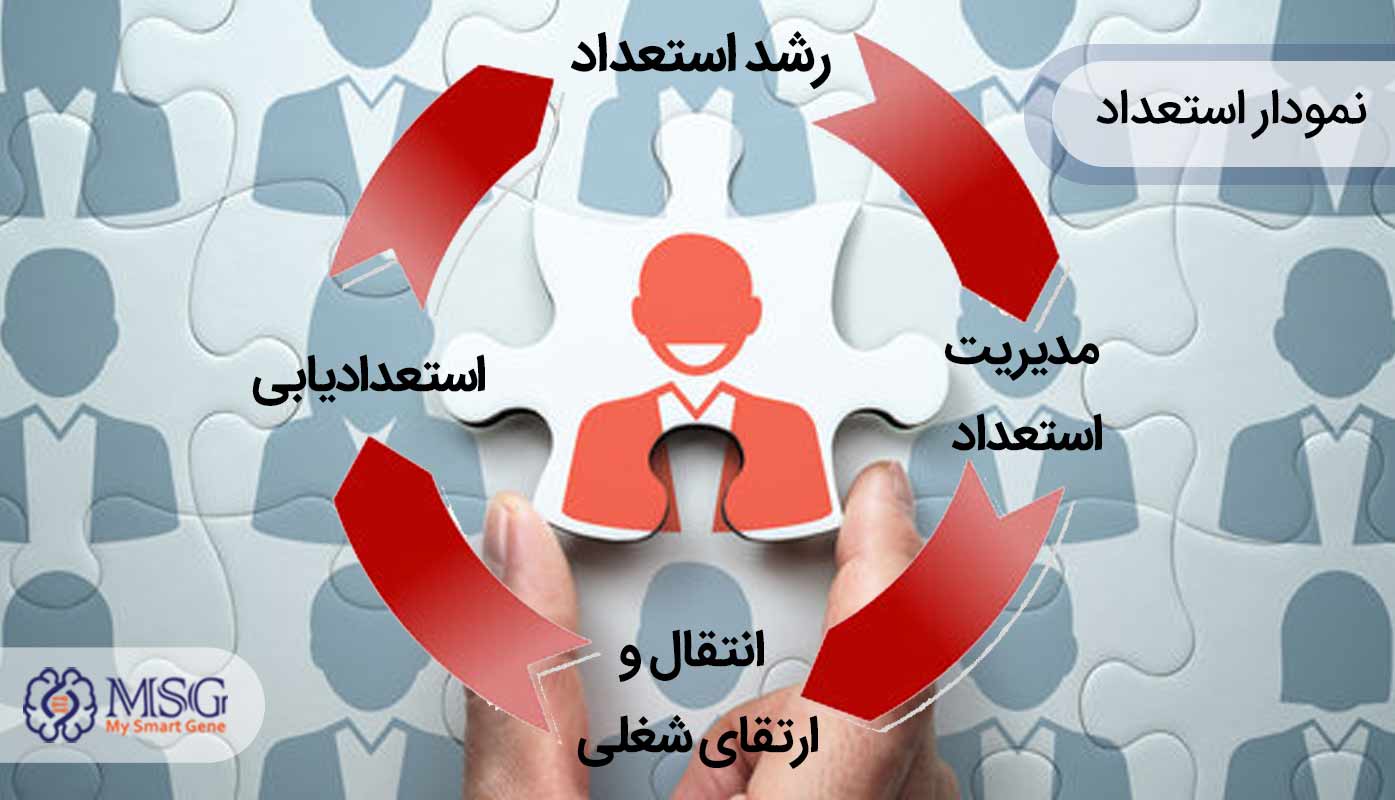 نمودار کشف توامندی ها
