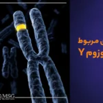 7 بیماری مربوط به کروموزوم Y در مردان