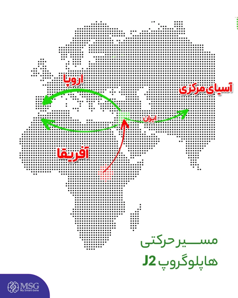 مسیرحرکتی تک گروه یا هاپلوگروپ J2