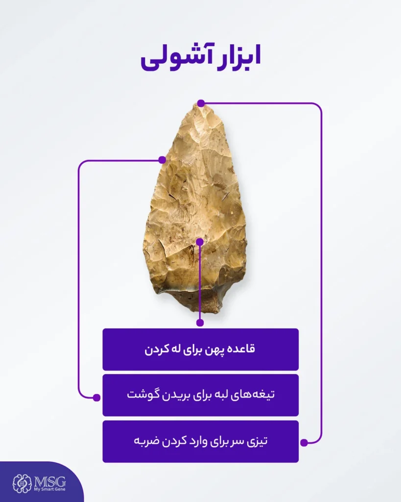 ابزار آشولی متعلق به انسان کارورز