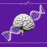 تاثیر ژنتیک رفتاری چیست؟ نگاهی به تأثیر DNA بر شخصیت و رفتار انسان