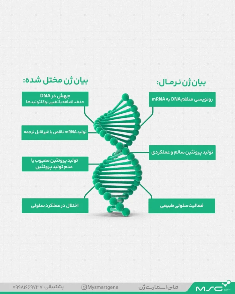 اینفوگرافیک تفاوت بیان ژن نرمال با بیان ژن مخل شده