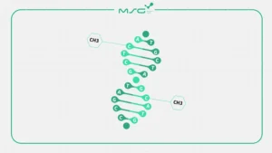 مکانیسم متیلاسیون DNA چیست