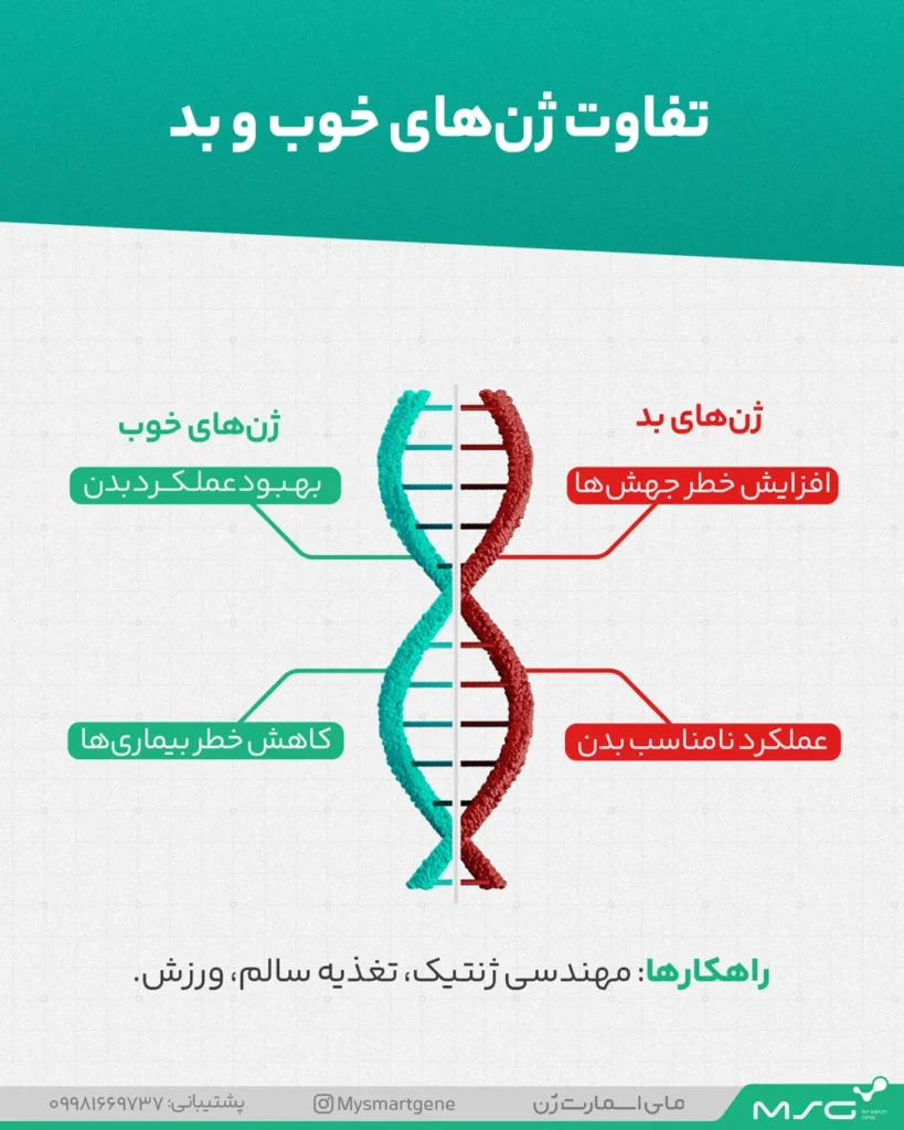 اینفوگرافیک فرق ژن خوب و ژن بد