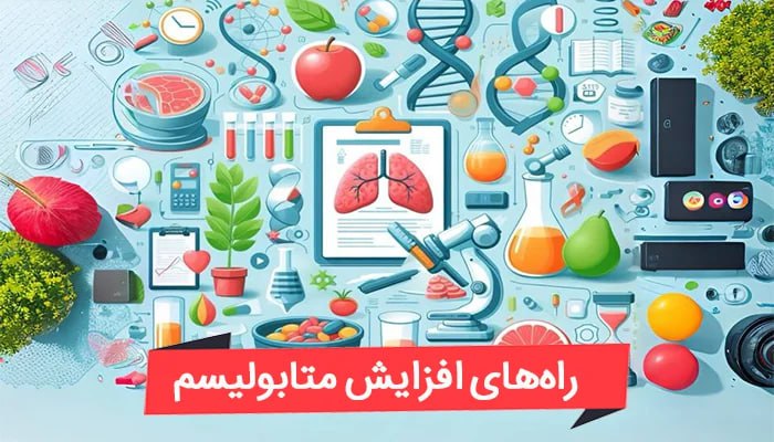چگونه عادات روزانه متابولیسم پایه شما را تخریب می‌کند!