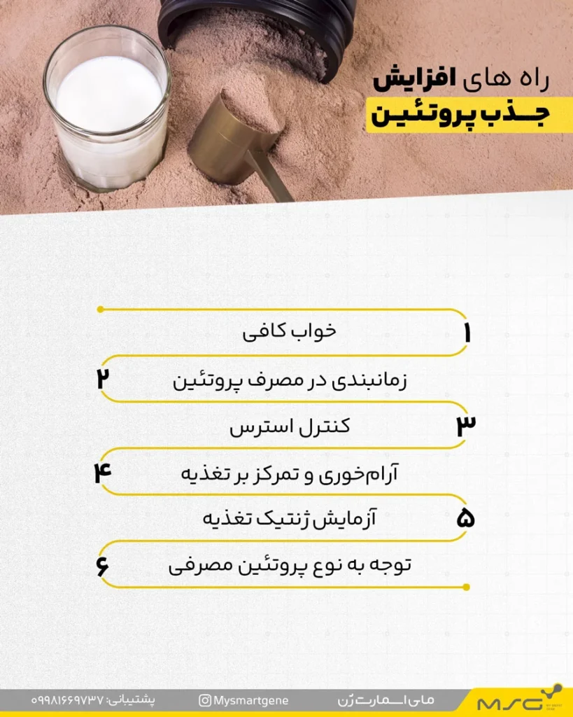 راه های جذب پروتئین بیشتر در بدن