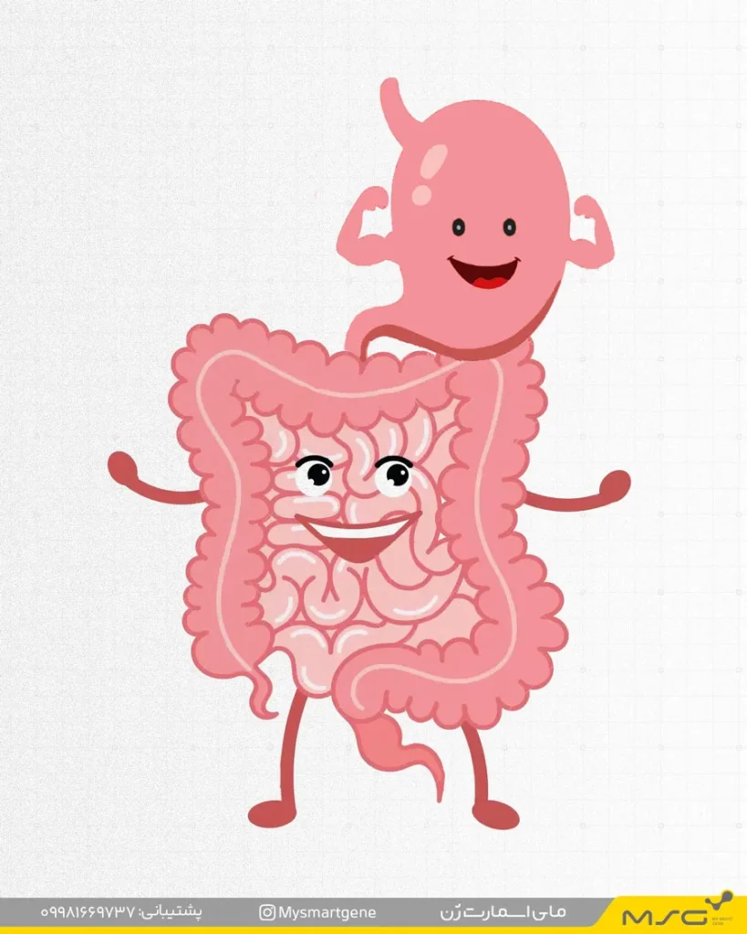 تاثیر سلامت دستگاه گوارش در جذب پروتئین