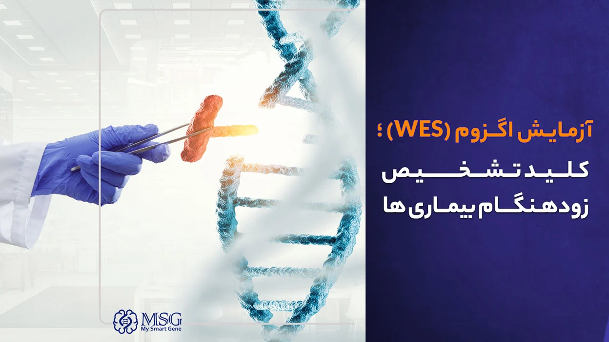 آزمایش هول اگزوم چیست؟ هزینه آزمایش WES در 1404 و کاربردهای آن
