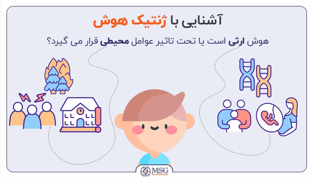 هوش ارثی است یا اکتسابی؟