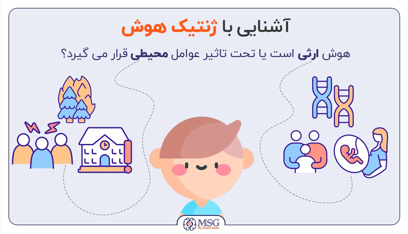 هوش ارثی است یا اکتسابی؟
