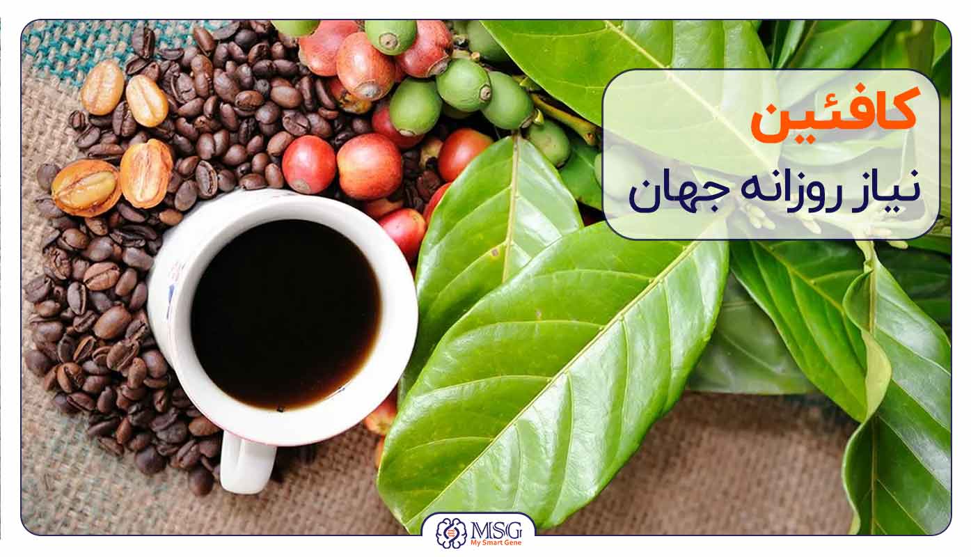 کافئین-نیاز روزانه جهان