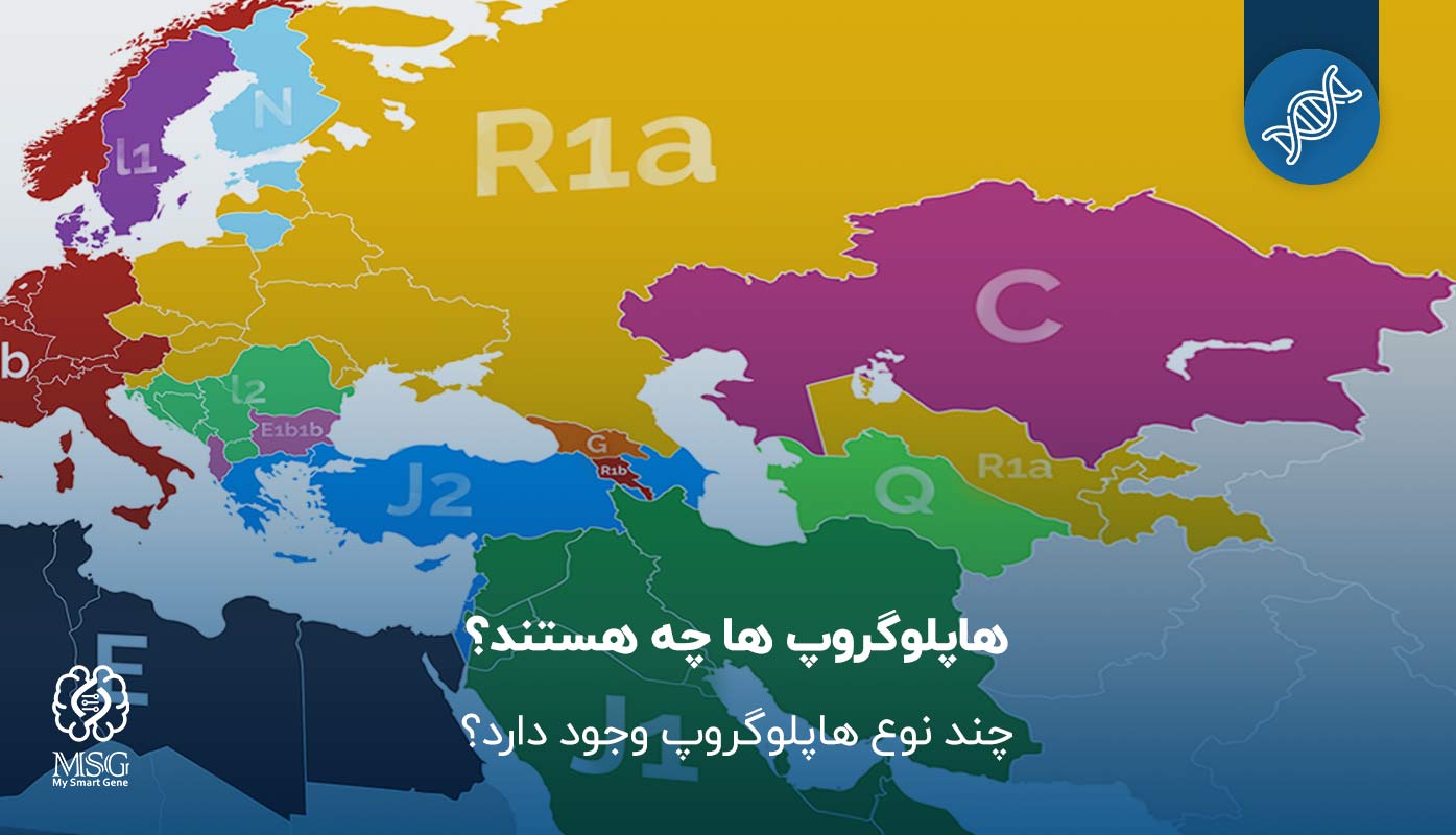 هاپلوگروپ یا تک گروه چیست؟ چند نوع هاپلوگروپ وجود دارد؟