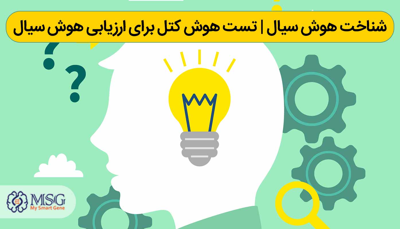 شناخت هوش سیال-تست هوش کتل