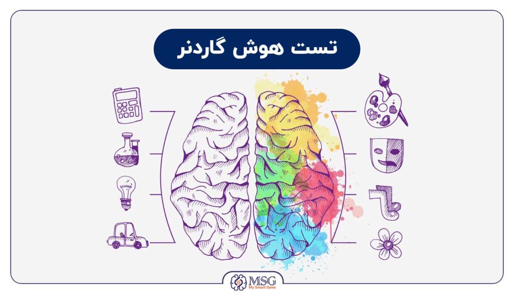 تست هوش هاوارد گاردنر