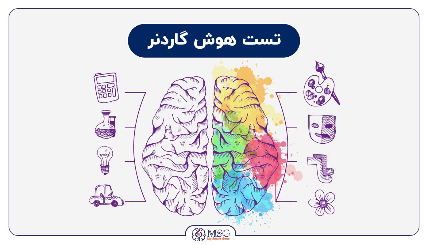 تست هوش هاوارد گاردنر