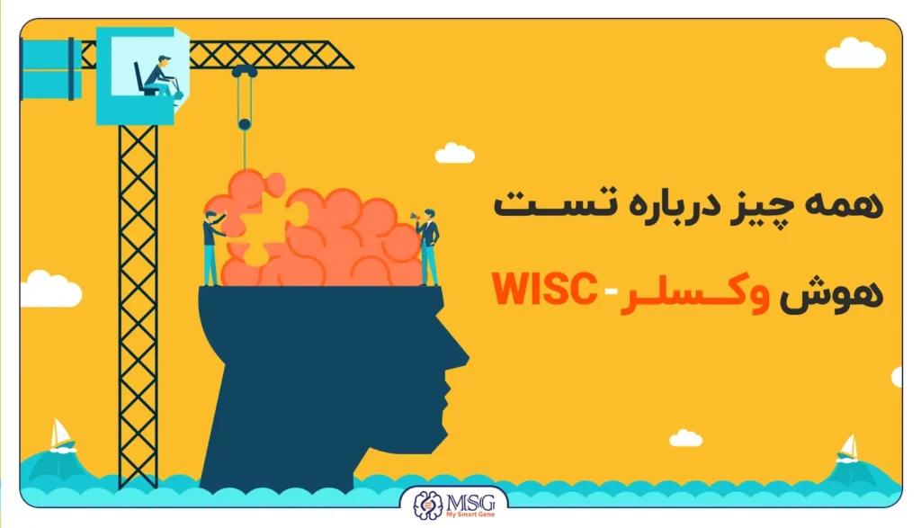 تست هوش وکسلر