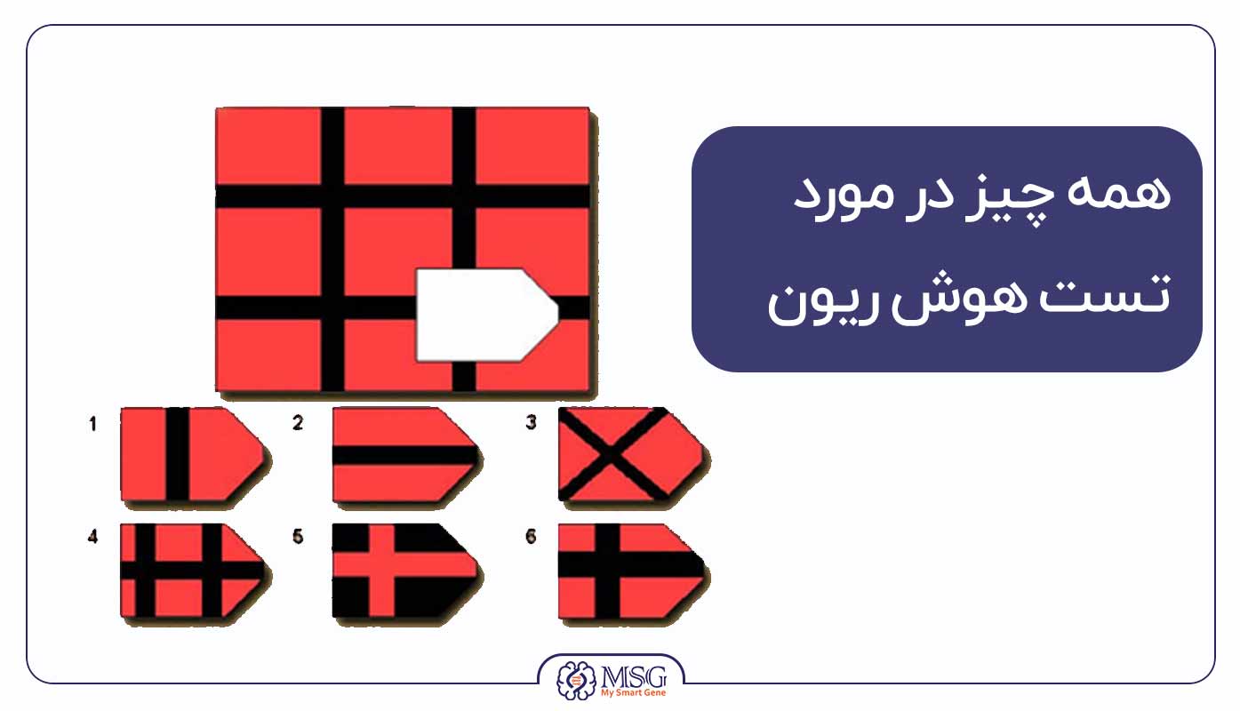 همه چیز درباره تست ریون