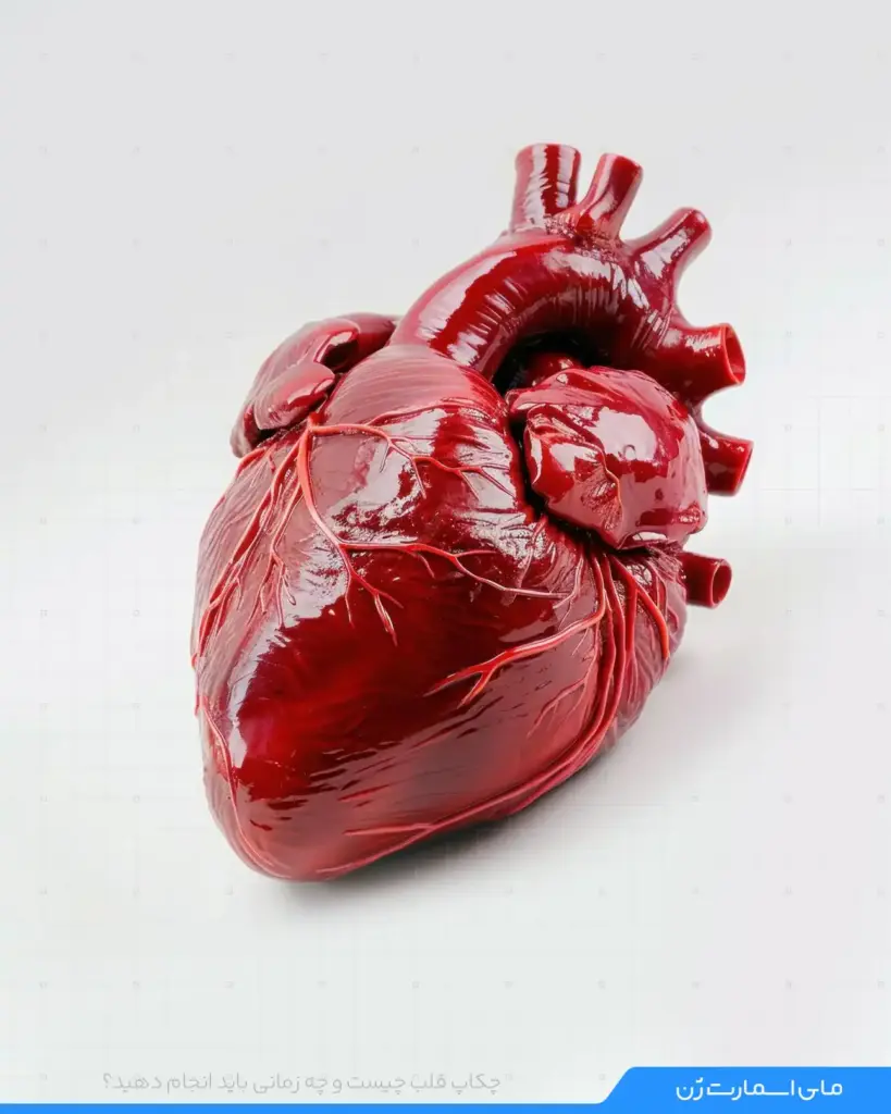 عضو قلب