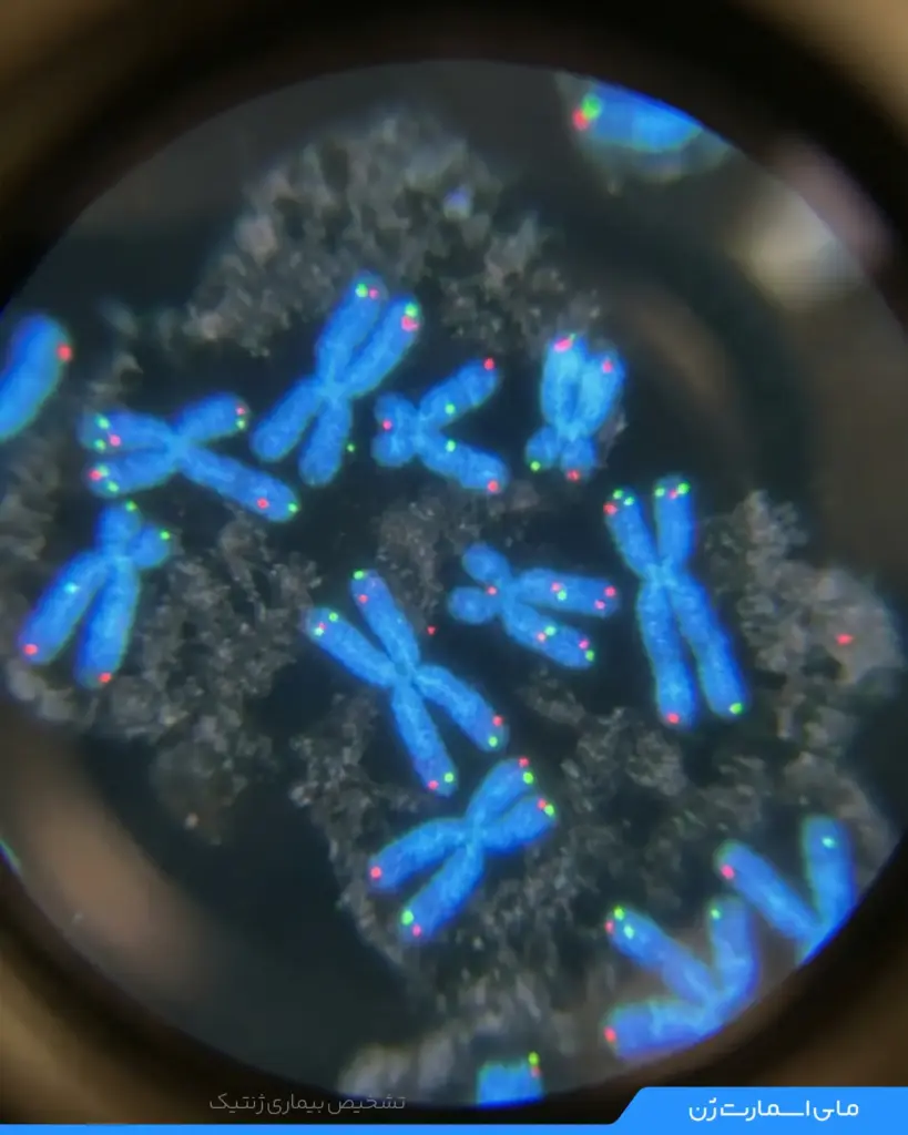 تصویری میکروسکوپی از کروموزوم ها