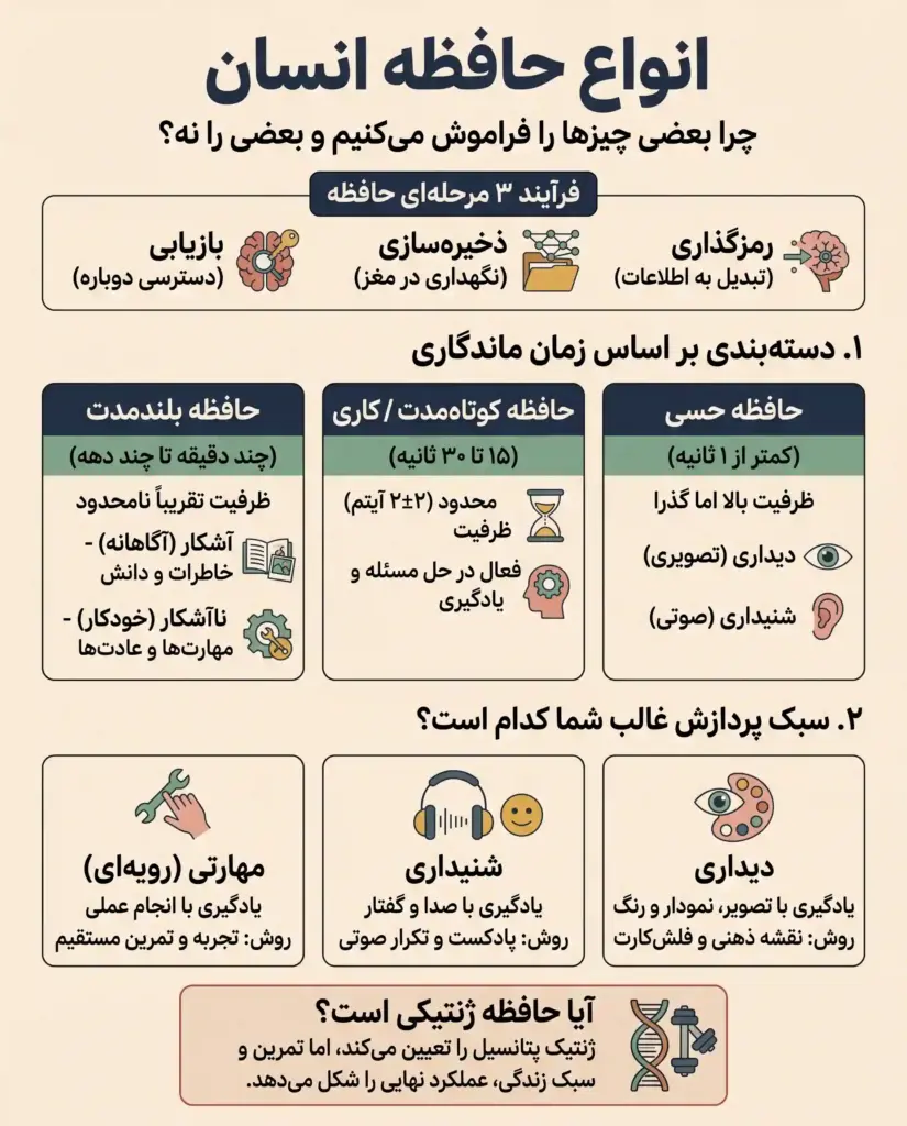 انسان چند نوع حافظه دارد؟