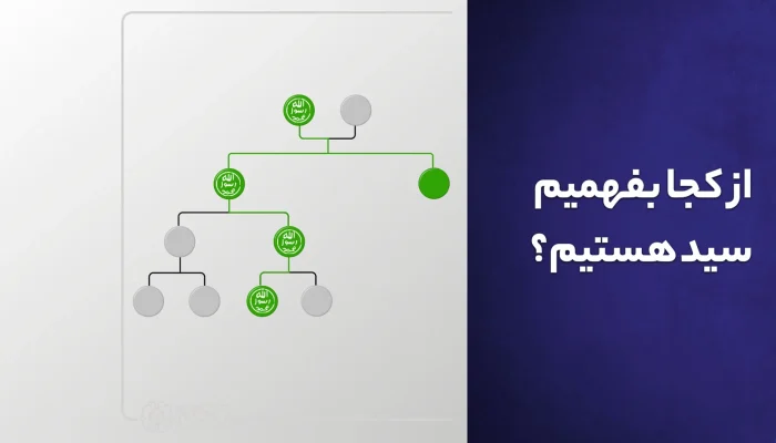 چطور سید واقعی را تشخیص بدهیم؟